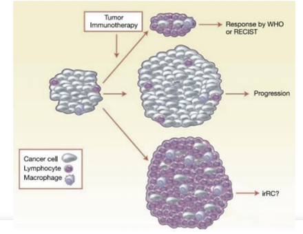 Cancer Immunotherapy in Delhi NCR
