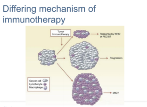 Cancer Immunotherapy in Delhi NCR