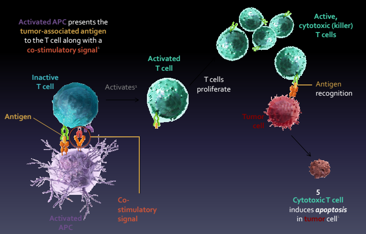 hepatic cancer immunotherapy
